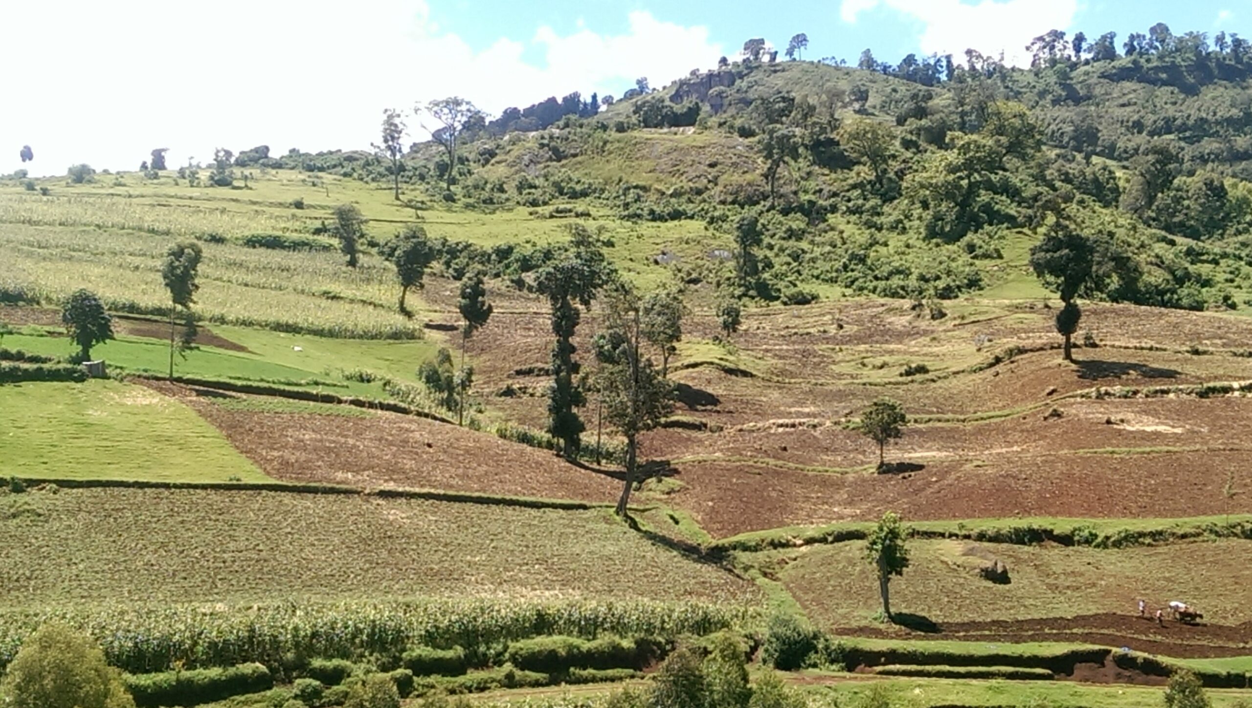 Monitoring land use changes